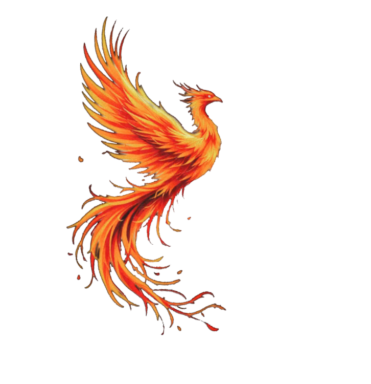 Phoenix Légtorna Iskola, légtorna győr, tűz zsonglőr show